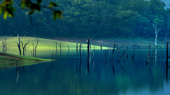 The Spice Garden Of Kerala