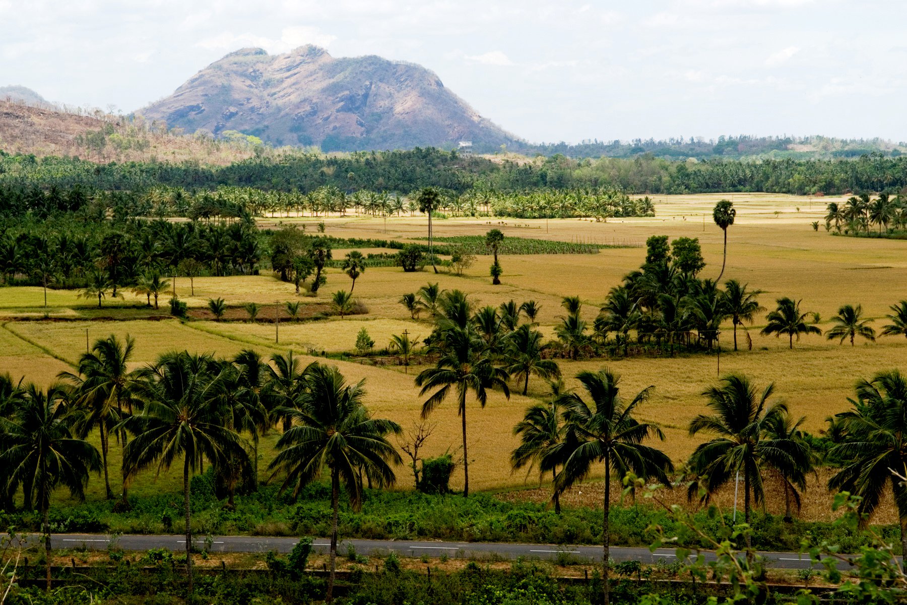 The granary of Kerala